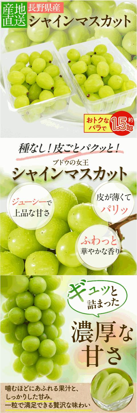 シャインマスカット LP制作実績